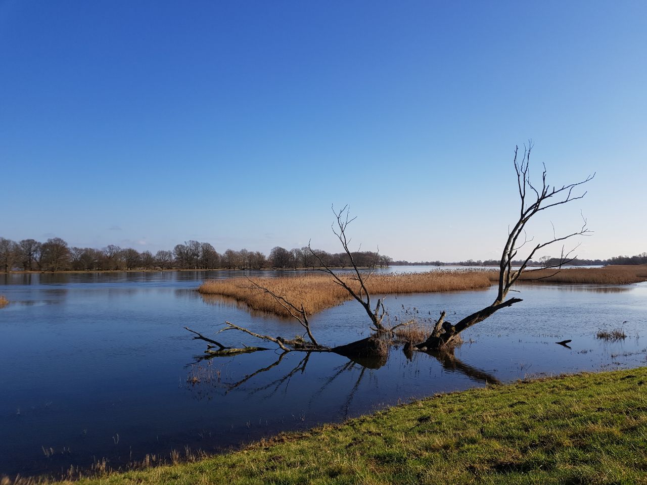 Gemeinde Letschin Letschin, Oderbruch, MärkischOderland, Adressen