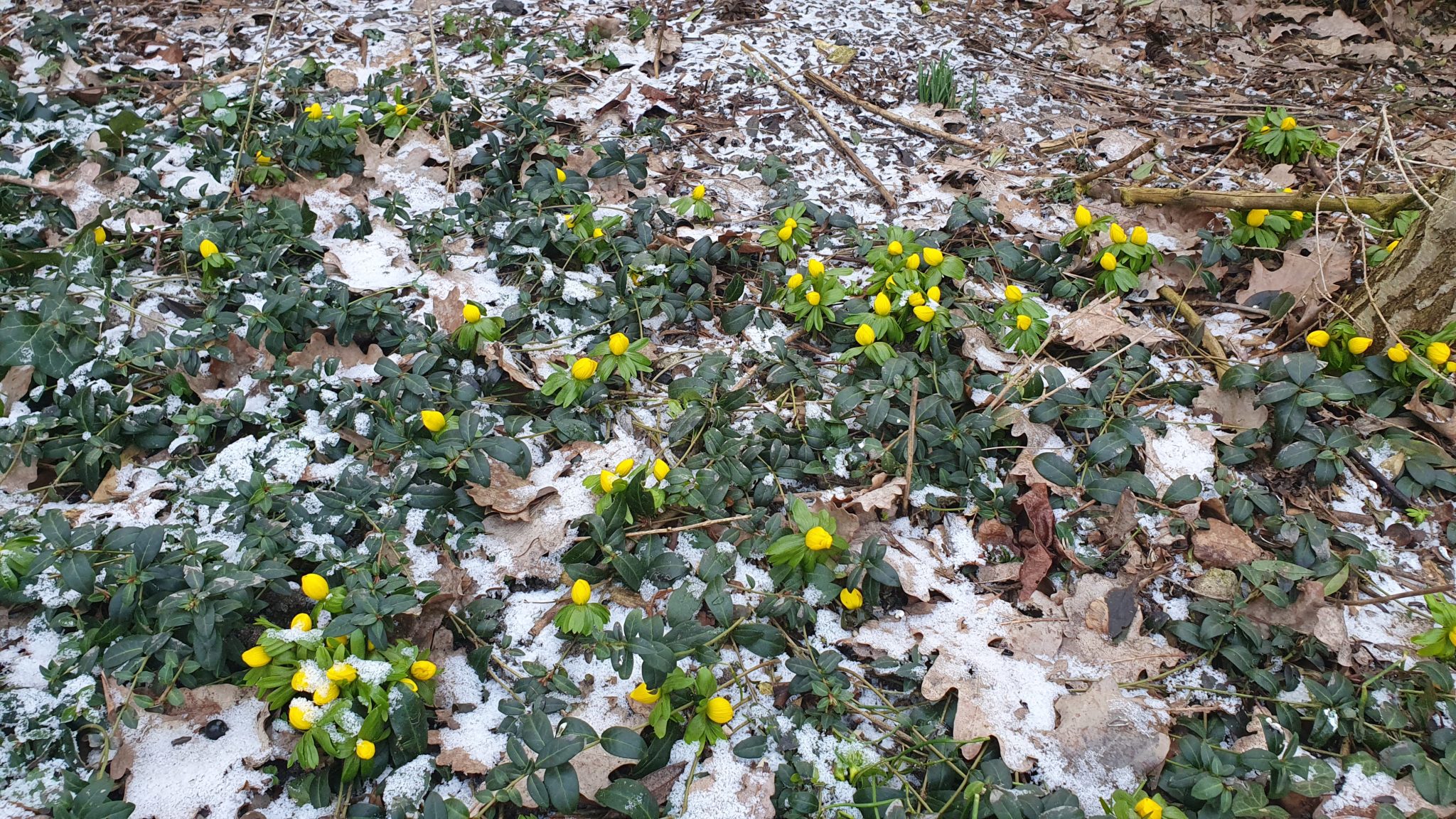 Gemeinde Letschin Letschin, Oderbruch, MärkischOderland, Adressen